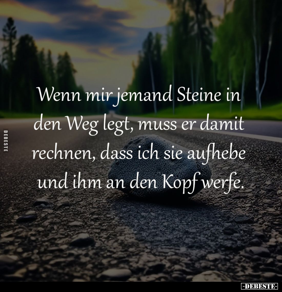 Wenn mir jemand Steine in
den Weg legt, muss er damit
rechnen, dass ich sie aufhebe
und ihm an den Kopf werfe.
