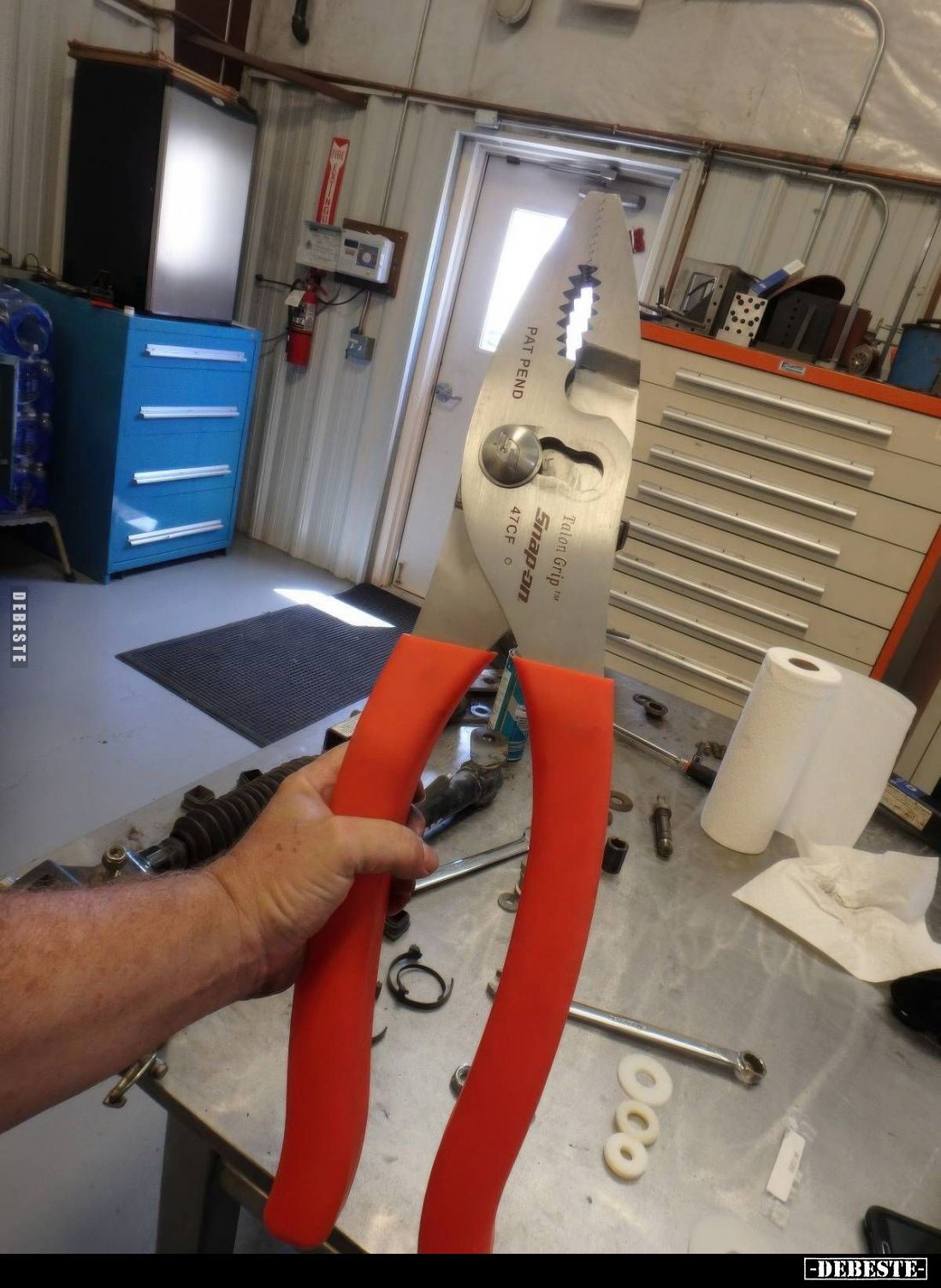  - Lustige Bilder | DEBESTE.de