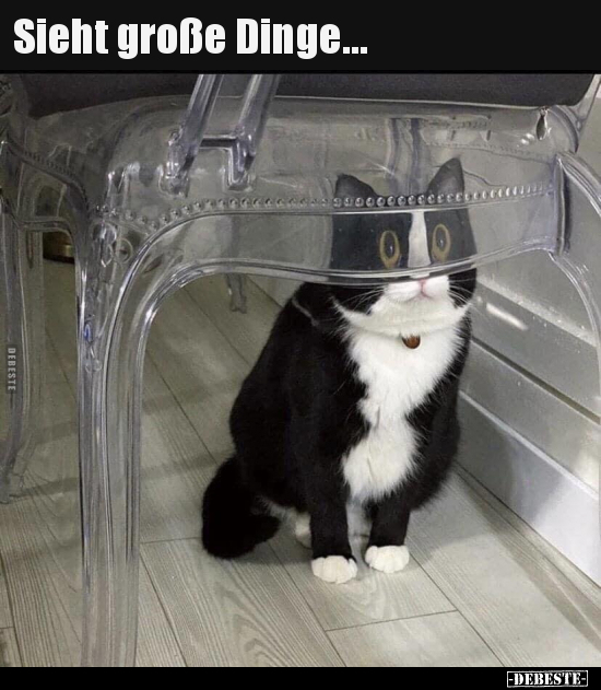 Sieht große Dinge...