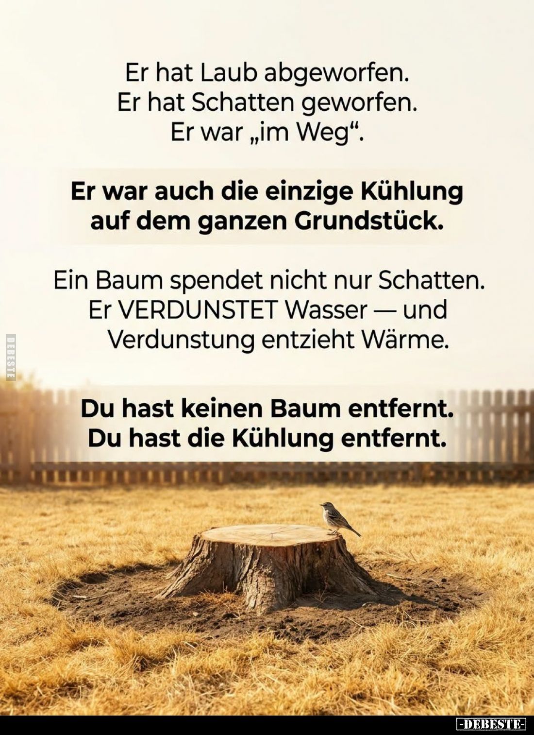 Er hat Laub abgeworfen.

Er hat Schatten geworfen.

Er war „im Weg“.



Er war auch die einzige Kühlung auf dem ganze...