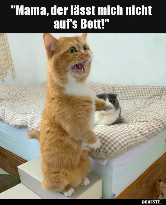 "Mama, der lässt mich nicht auf's Bett!"