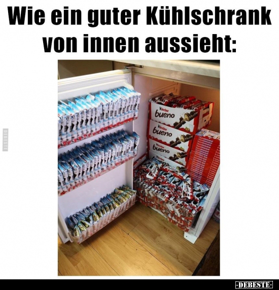 Wie ein guter Kühlschrank von innen aussieht..