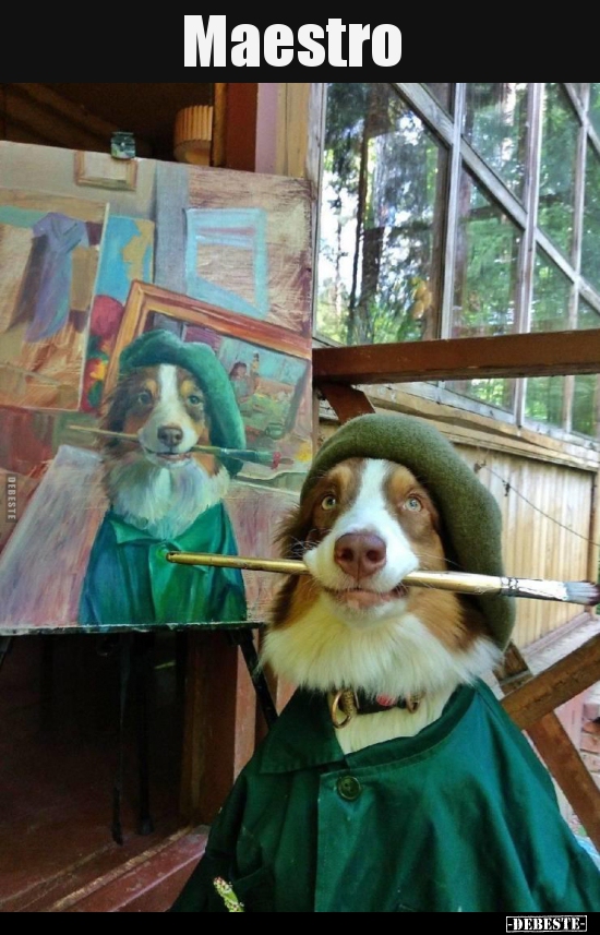 Maestro..