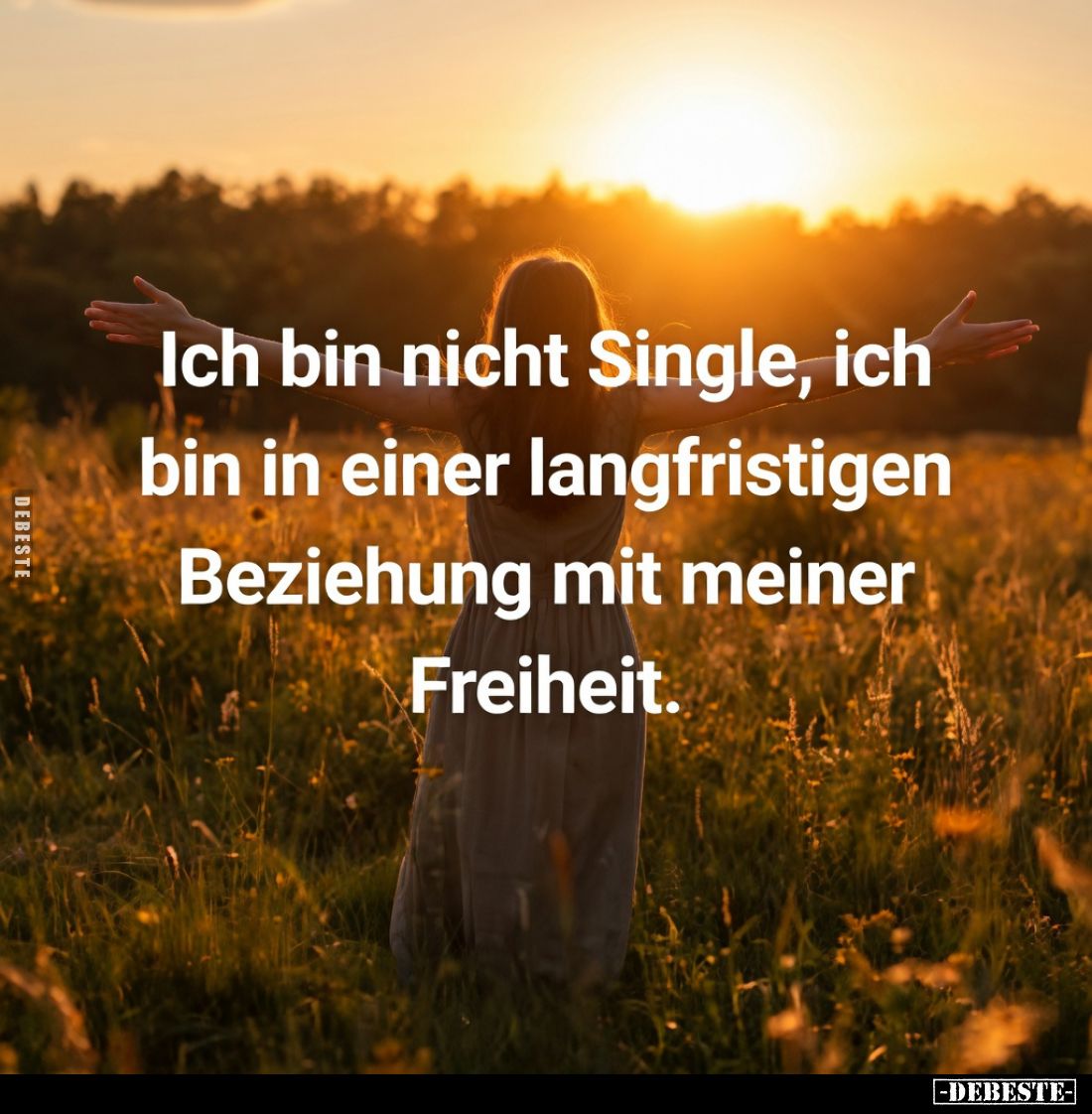 Ich bin nicht Single, ich bin in einer langfristigen.. - Lustige Bilder | DEBESTE.de