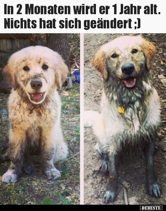 In 2 Monaten wird er 1 Jahr alt. Nichts hat sich geändert..