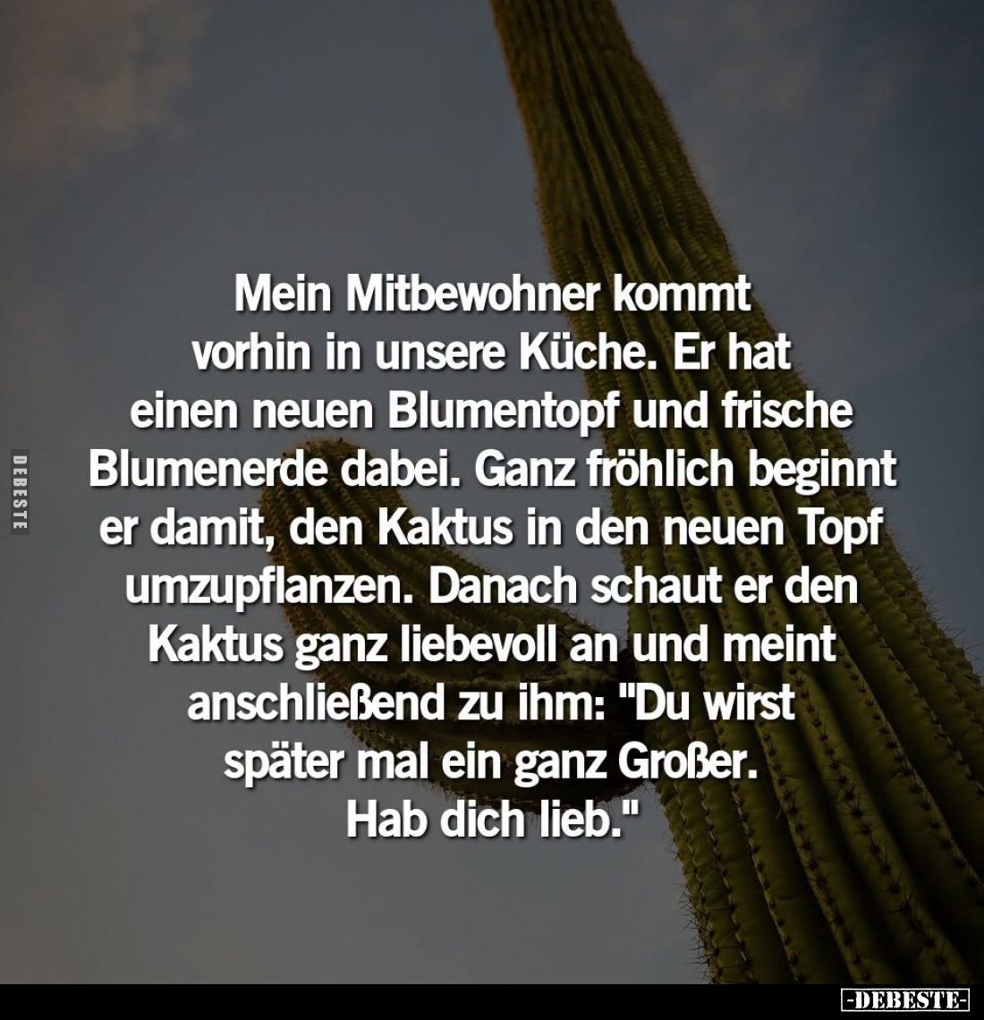 Mein Mitbewohner kommt vorhin in unsere Küche. Er hat einen neuen Blumentopf und frische Blumenerde dabei. - Ganz fröhlich be...