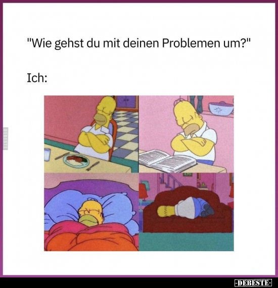 "Wie gehst du mit deinen Problemen um?".. - Lustige Bilder | DEBESTE.de