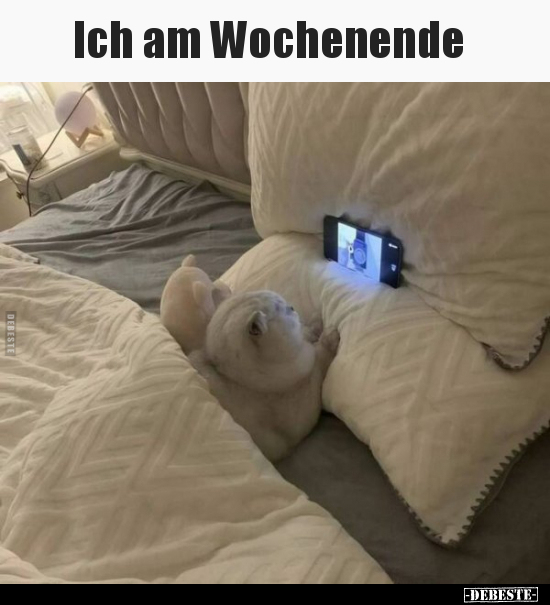 Ich am Wochenende.. - Lustige Bilder | DEBESTE.de