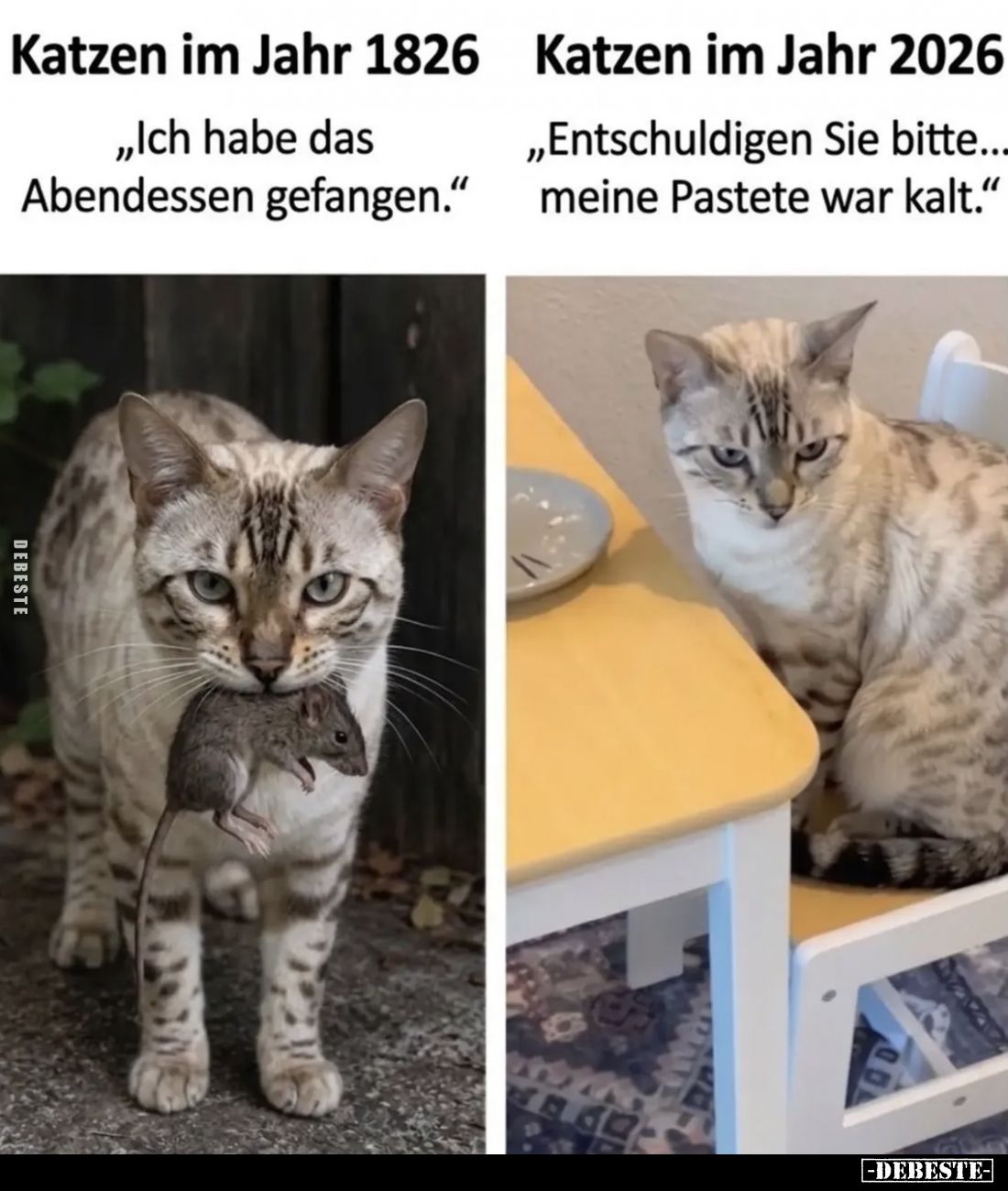 Katzen im Jahr 1826
"Ich habe das Abendessen gefangen." -
Katzen im Jahr 2026
"Entschuldigen Sie bitte... m...