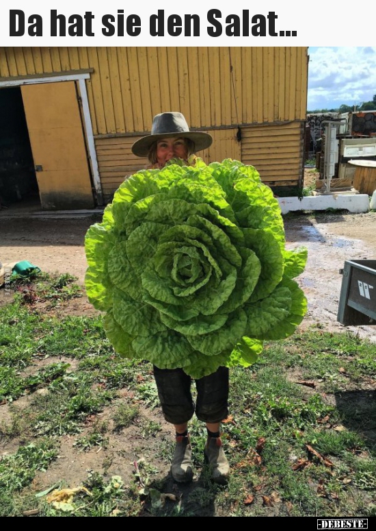 Da hat sie den Salat...