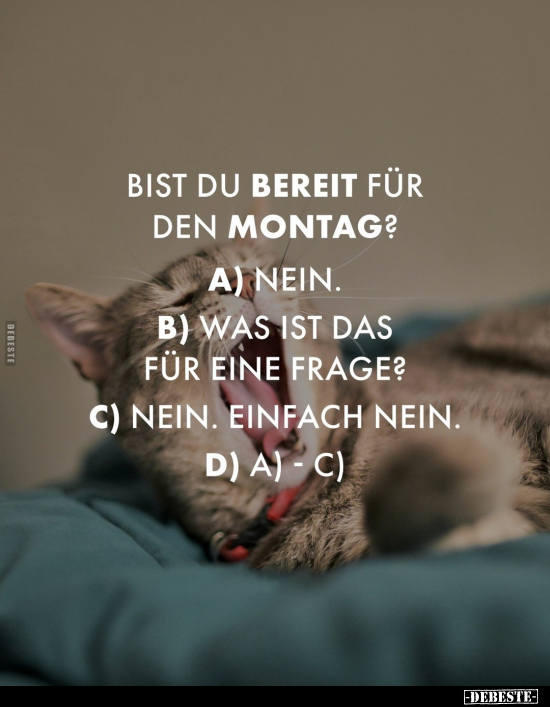 Bist du bereit für den Montag?.. - Lustige Bilder | DEBESTE.de