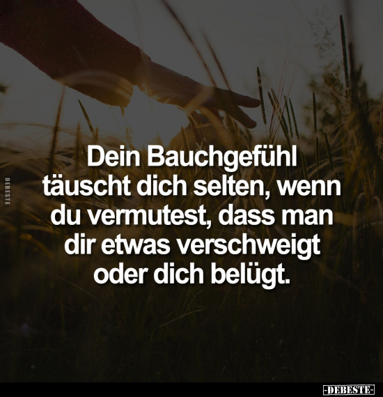 Dein Bauchgefühl täuscht dich selten, wenn du vermutest.. - Lustige Bilder | DEBESTE.de