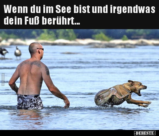 Wenn du im See bist und irgendwas dein Fuß berührt... - Lustige Bilder | DEBESTE.de