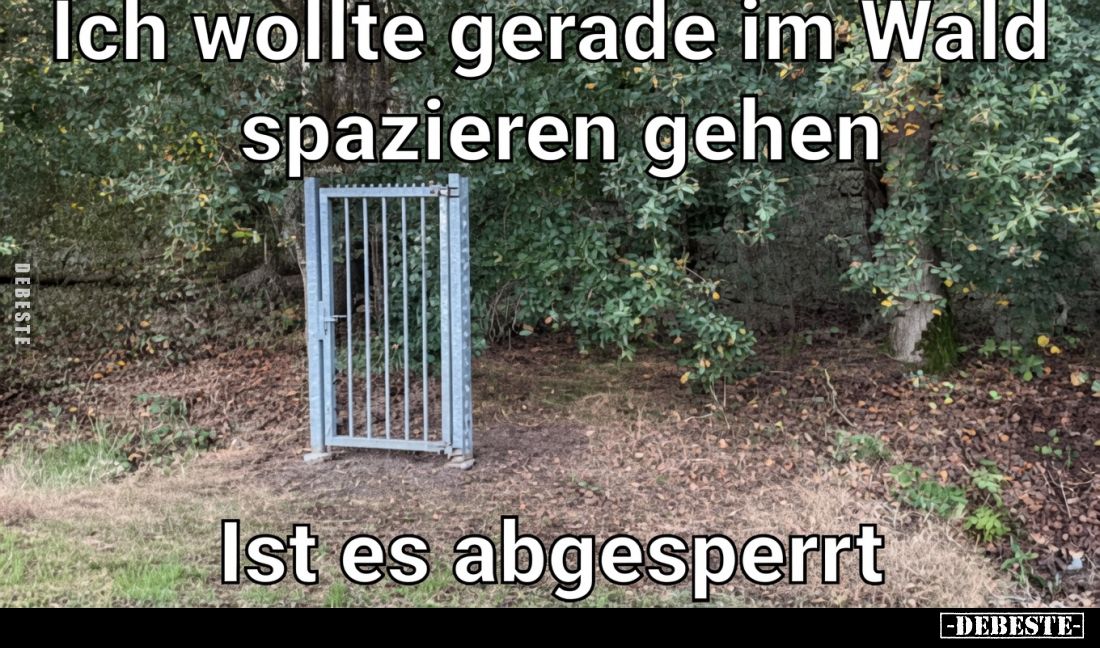 Ich wollte gerade im Wald spazieren gehen.
Ist es abgesperrt.