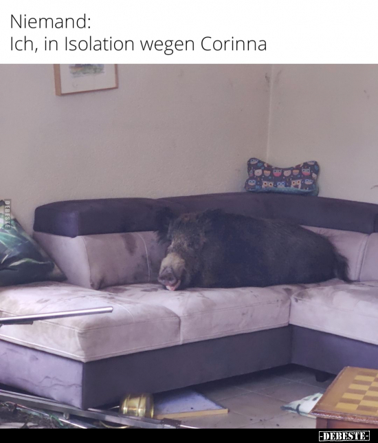Niemand: Ich, in Isolation wegen Corinna.. - Lustige Bilder | DEBESTE.de