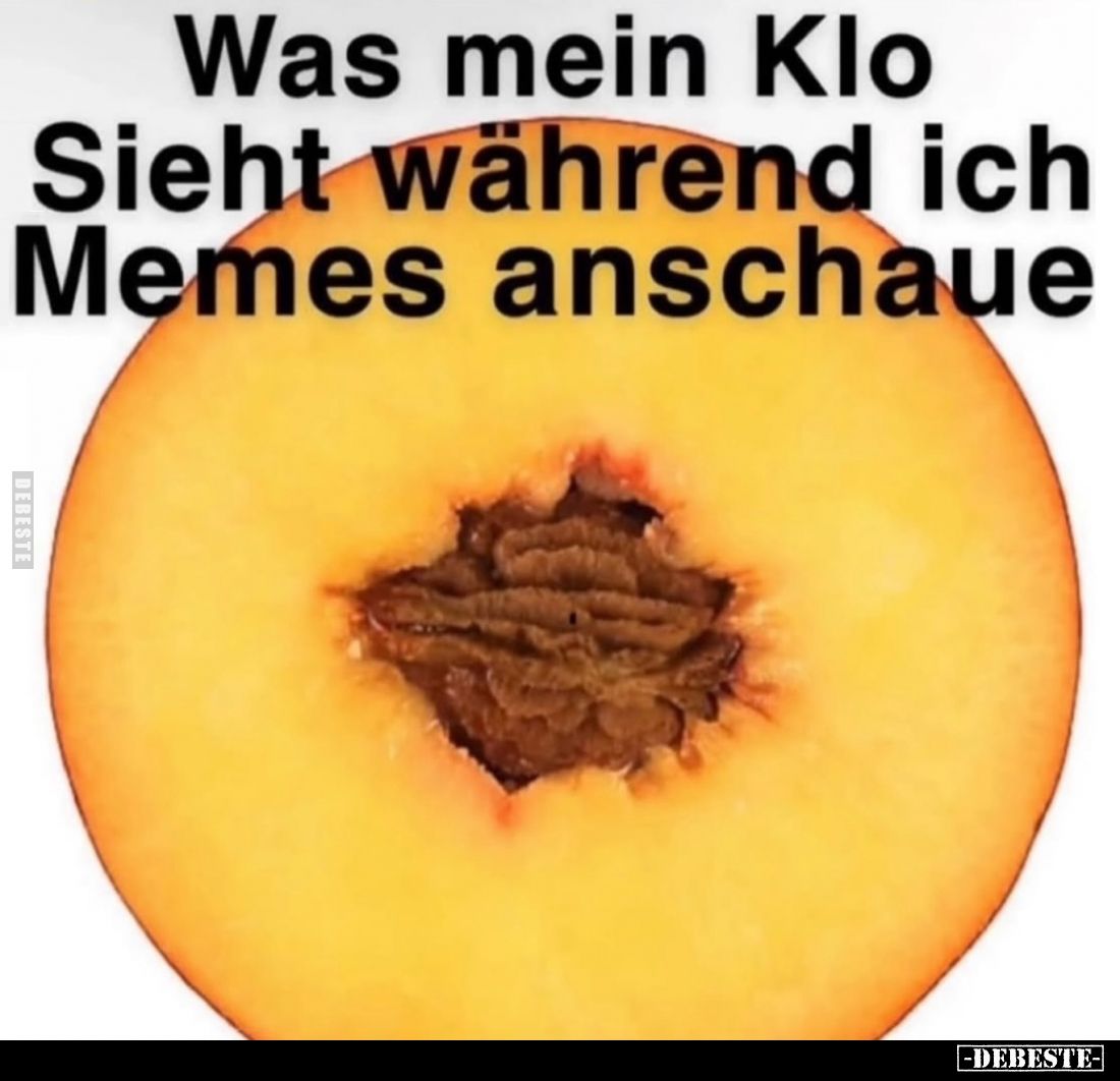 Was mein Klo Sieht während ich Memes anschaue
