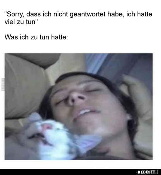 "Sorry, dass ich nicht geantwortet habe.." - Lustige Bilder | DEBESTE.de