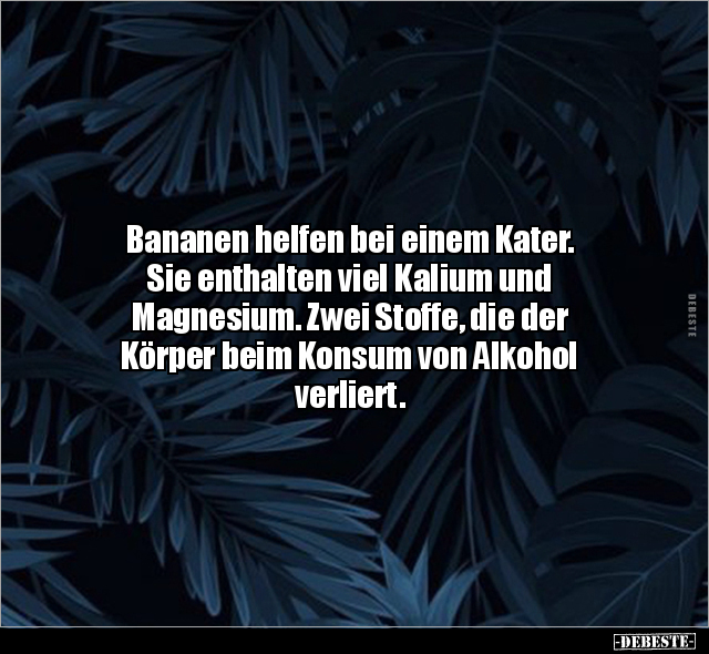 Bananen helfen bei einem Kater. Sie enthalten viel Kalium.. - Lustige Bilder | DEBESTE.de