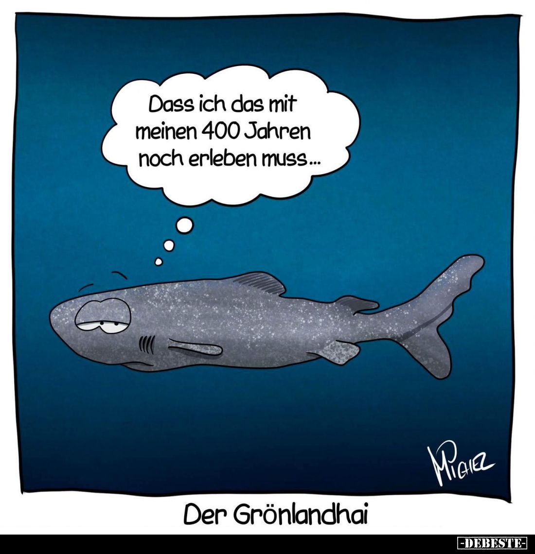 Dass ich das mit meinen 400 Jahren noch erleben muss... Der Grönlandhai
