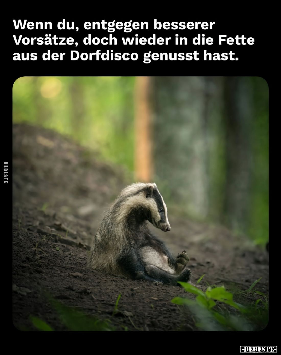 Wenn du, entgegen besserer Vorsätze, doch wieder in die Fette aus der Dorfdisco genusst hast.