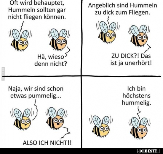 Oft wird behauptet, Hummeln sollten gar nicht fliegen.. - Lustige Bilder | DEBESTE.de