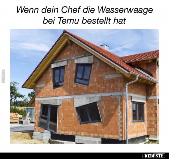 Wenn dein Chef die Wasserwaage bei Temu bestellt hat.. - Lustige Bilder | DEBESTE.de