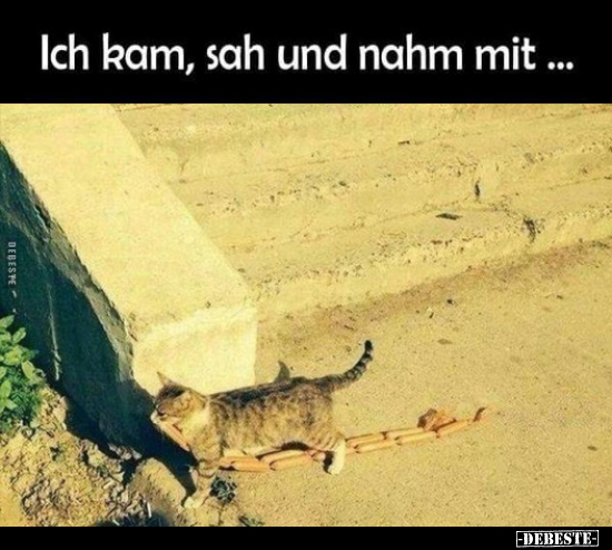 Ich kam, sah und nahm mit... - Lustige Bilder | DEBESTE.de