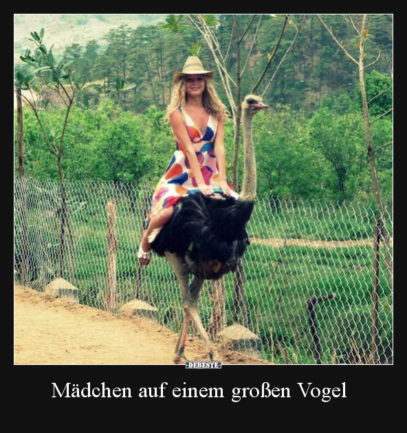 Mädchen auf einem großen Vogel.. - Lustige Bilder | DEBESTE.de