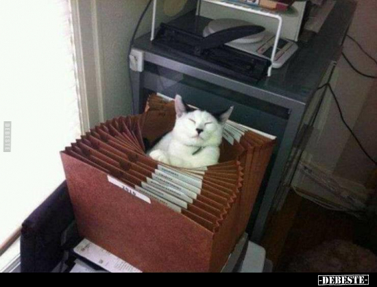  - Lustige Bilder | DEBESTE.de