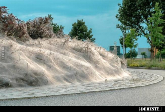  - Lustige Bilder | DEBESTE.de