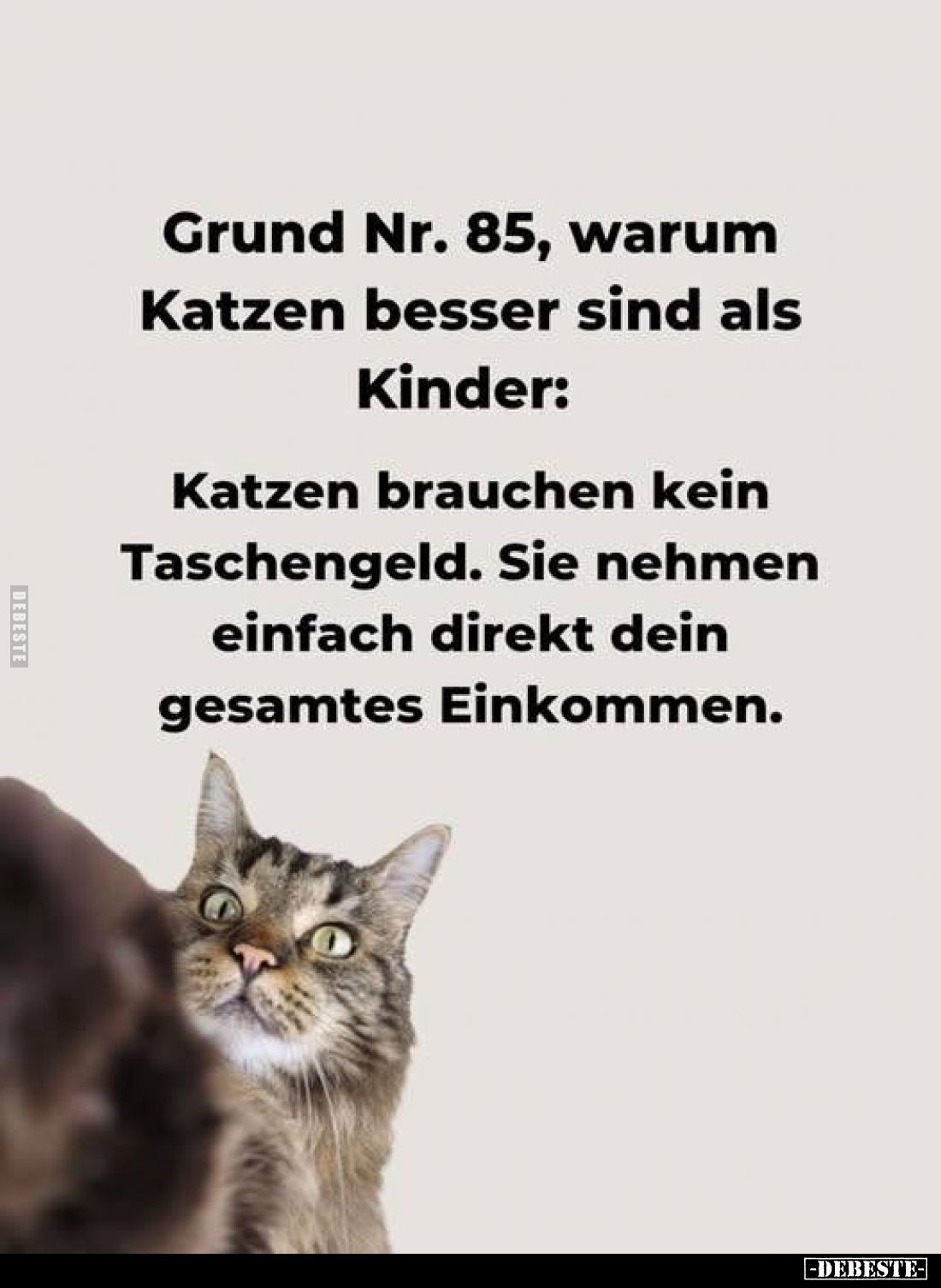 Grund Nr. 85, warum Katzen besser sind als Kinder:
Katzen brauchen kein Taschengeld. Sie nehmen einfach direkt dein gesamtes...