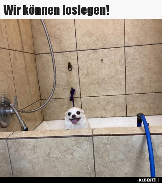 Wir können loslegen!..