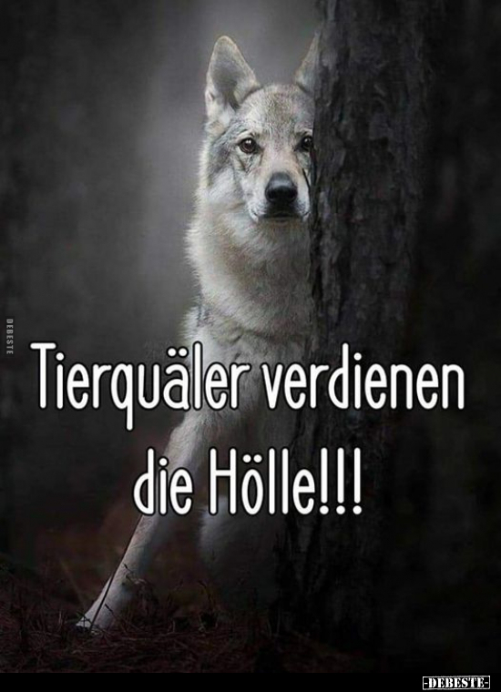 Tierquäler verdienen die Hölle!!!.. - Lustige Bilder | DEBESTE.de