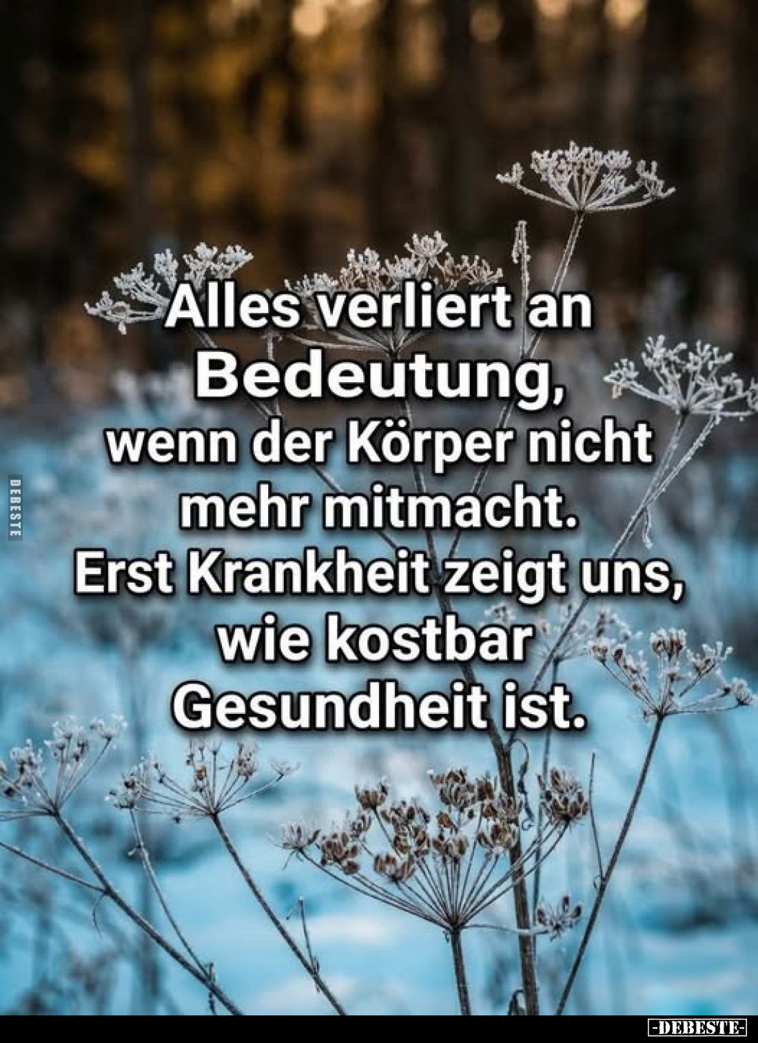 Alles verliert an Bedeutung, wenn der Körper nicht mehr mitmacht. Erst Krankheit zeigt uns, wie kostbar Gesundheit ist.