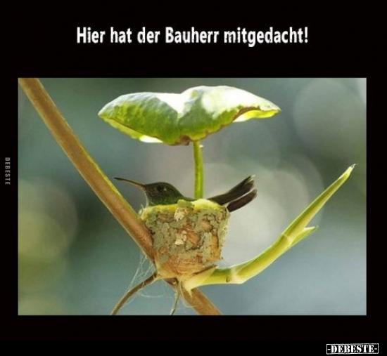 Hier hat der Bauherr mitgedacht!