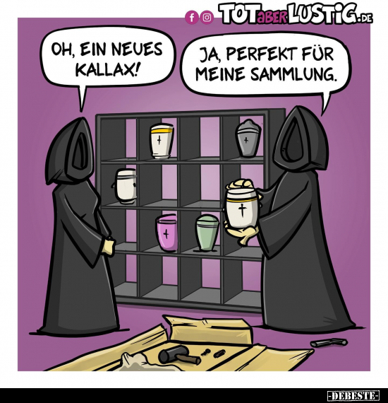 Oh, ein neues KALLAX!.. - Lustige Bilder | DEBESTE.de