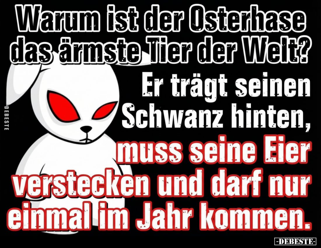 Warum ist der Osterhase das ärmste Tier der Welt?.. - Lustige Bilder | DEBESTE.de