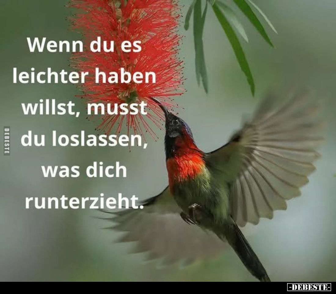 Wenn du es leichter haben willst, musst du loslassen, was dich runterzieht.