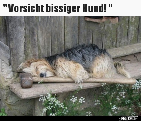 "Vorsicht bissiger Hund!".. - Lustige Bilder | DEBESTE.de