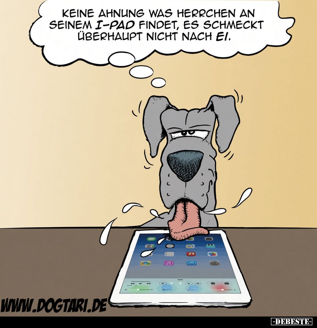 Keine Ahnung was Herrchen an seinem i-Pad findet, es schmeckt überhaupt nicht nach Ei.