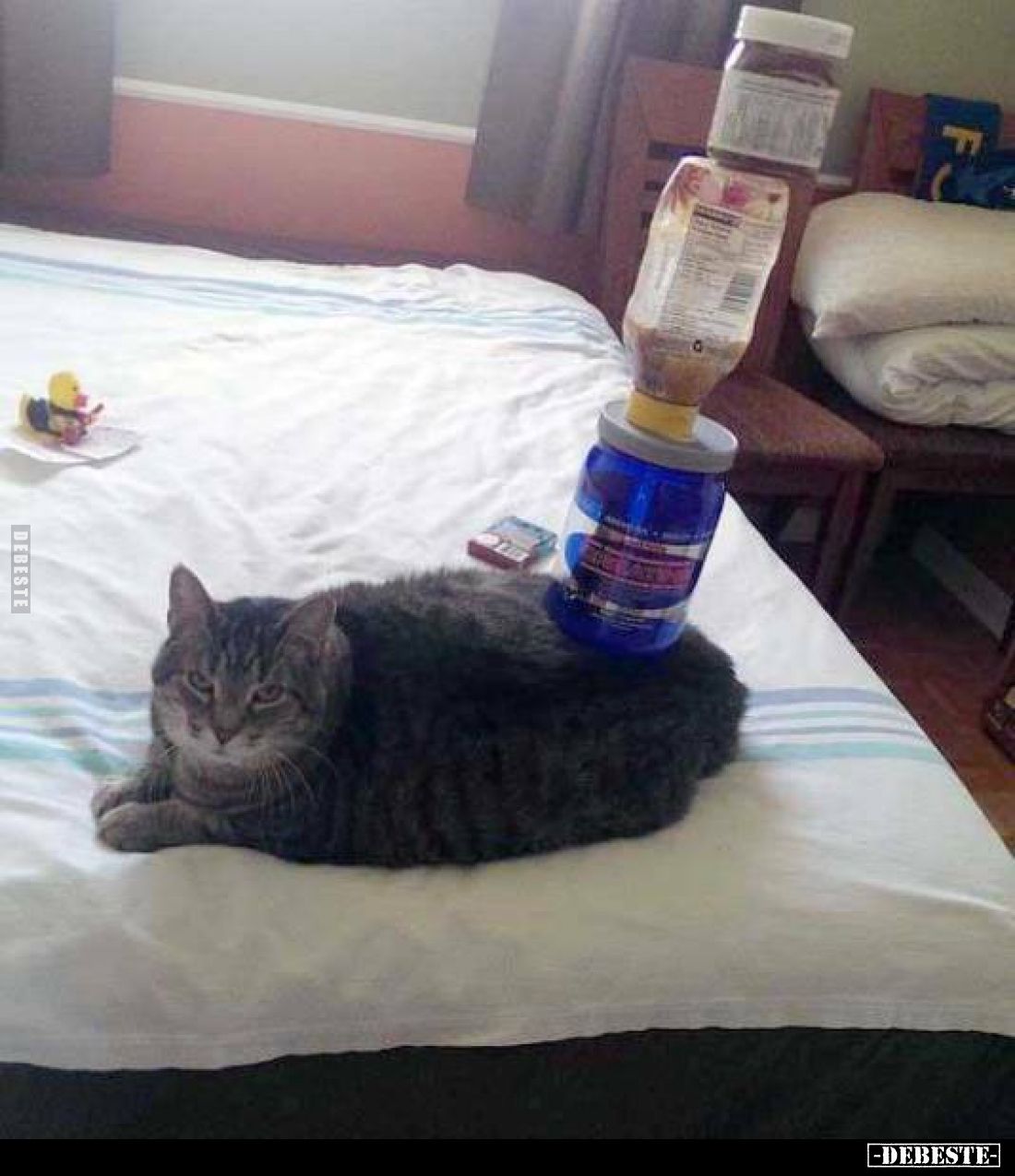  - Lustige Bilder | DEBESTE.de