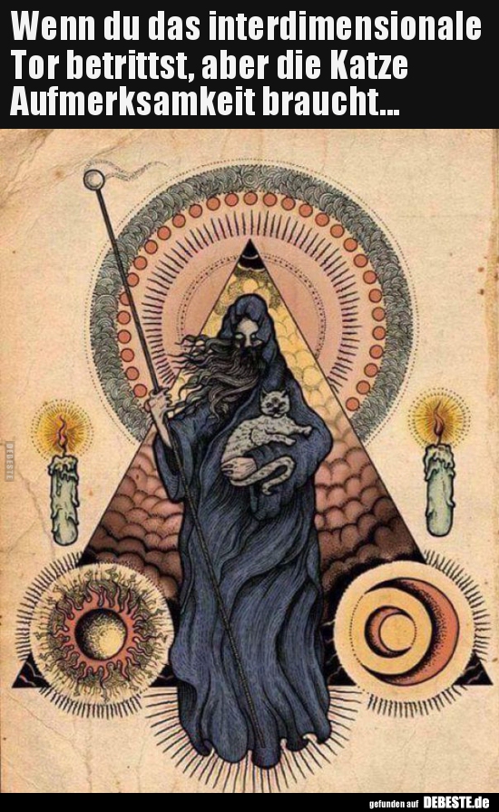 Wenn du das interdimensionale Tor betrittst, aber die Katze..