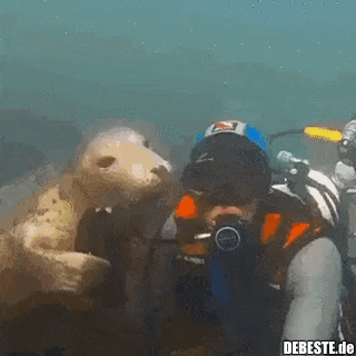 Schmusiges Kerlchen..