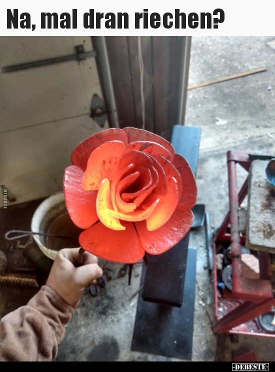 Na, mal dran riechen?..