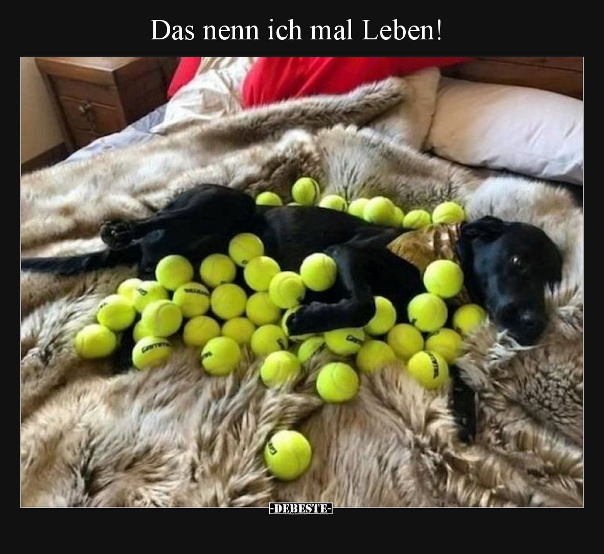 Das nenn ich mal Leben!
