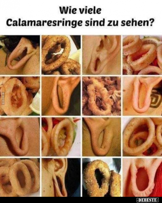 Wie viele Calamaresringe sind zu sehen?.. - Lustige Bilder | DEBESTE.de