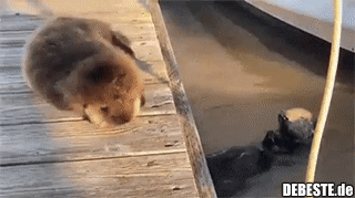 The Internet is for Otten..