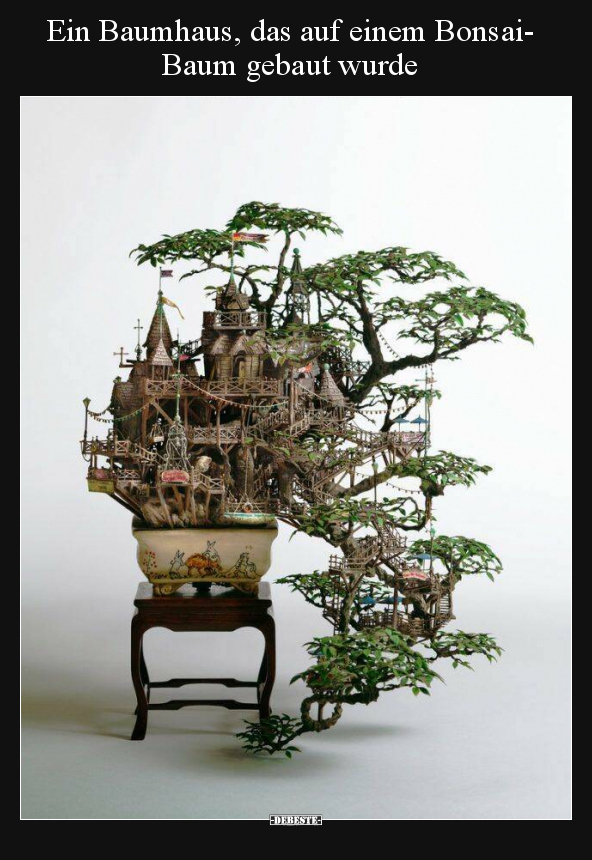 Ein Baumhaus, das auf einem Bonsai-Baum gebaut wurde.. - Lustige Bilder | DEBESTE.de