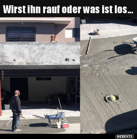 Wirst ihn rauf oder was ist los...