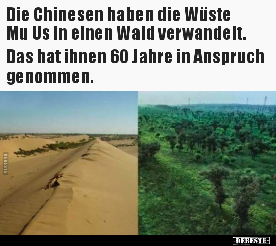 Die Chinesen haben die Wüste Mu Us in einen Wald.. - Lustige Bilder | DEBESTE.de